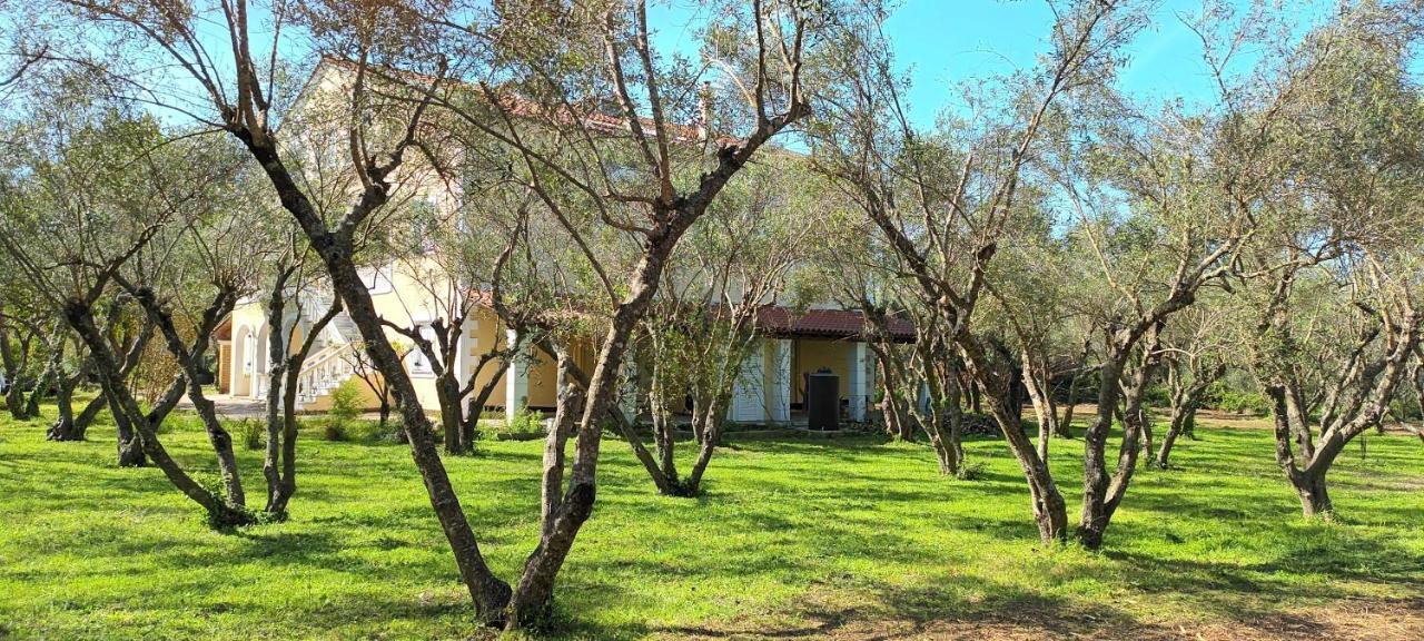 Апартаменты Antonios Olive Garden Acharavi Kerkyra Экстерьер фото
