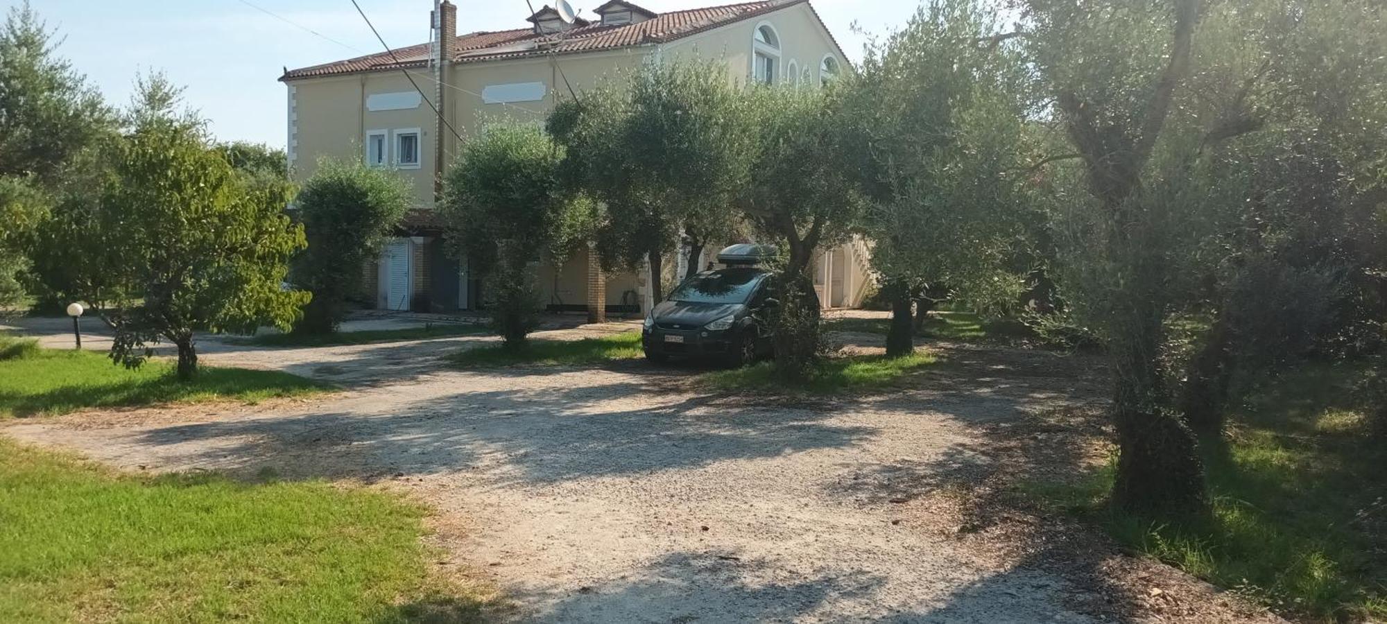 Апартаменты Antonios Olive Garden Acharavi Kerkyra Экстерьер фото